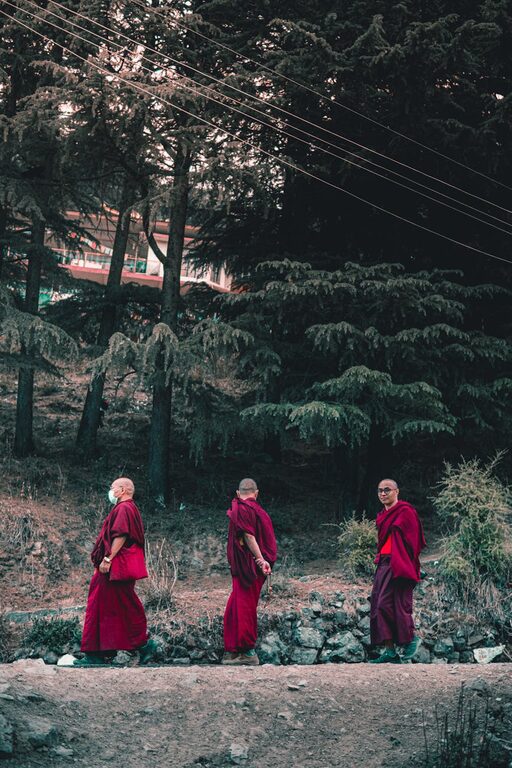 Beginner Guide to Mindful Walking for Everyday Calm